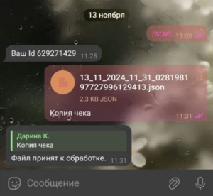 фискальные чеки iiko.png