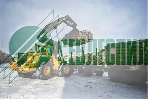 Переход с зарплаты и управления версии 2.5 на версию 3.1 для компании СевЛесПил